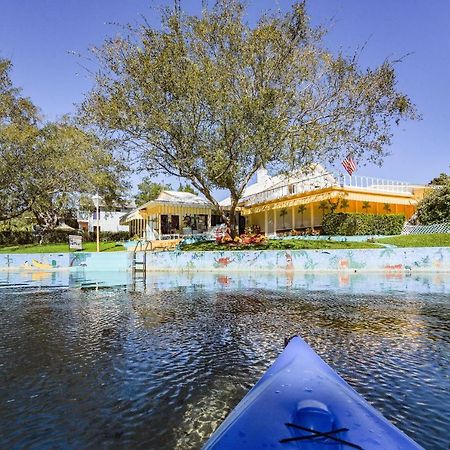 Pams Mermaid House With Riverfront Yard And Lanai! Lägenhet Weeki Wachee Exteriör bild