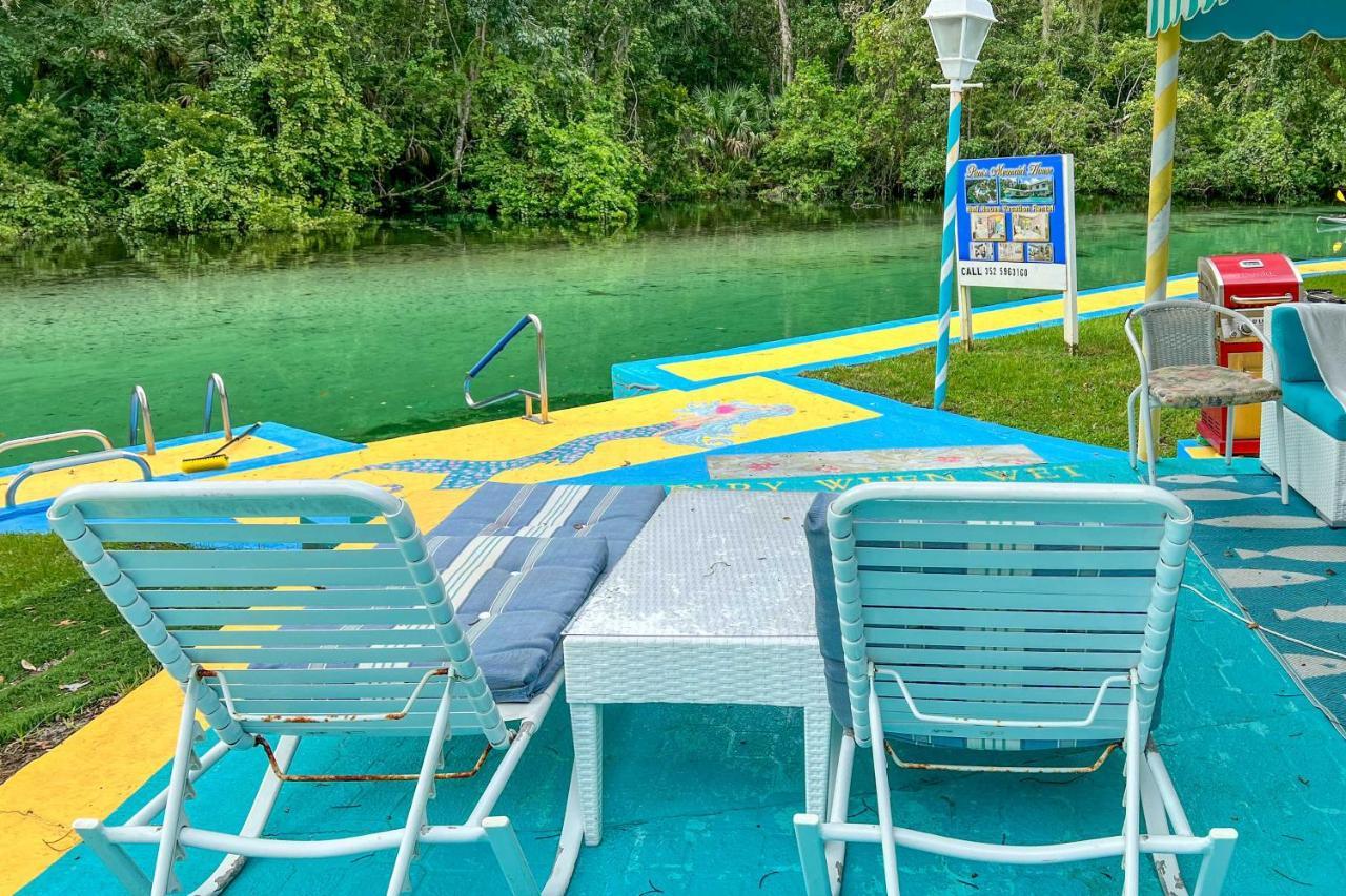 Pams Mermaid House With Riverfront Yard And Lanai! Lägenhet Weeki Wachee Exteriör bild