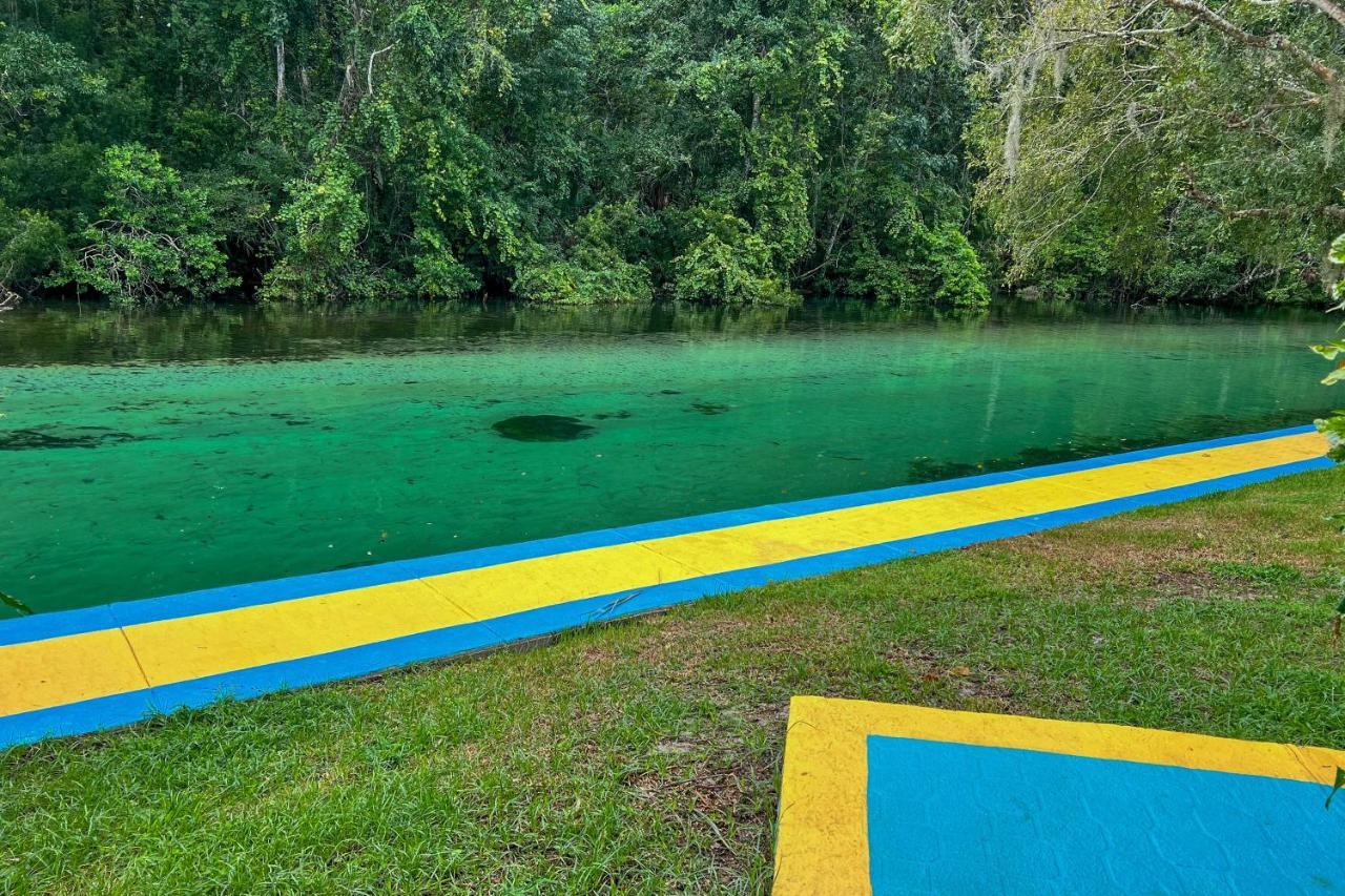 Pams Mermaid House With Riverfront Yard And Lanai! Lägenhet Weeki Wachee Exteriör bild