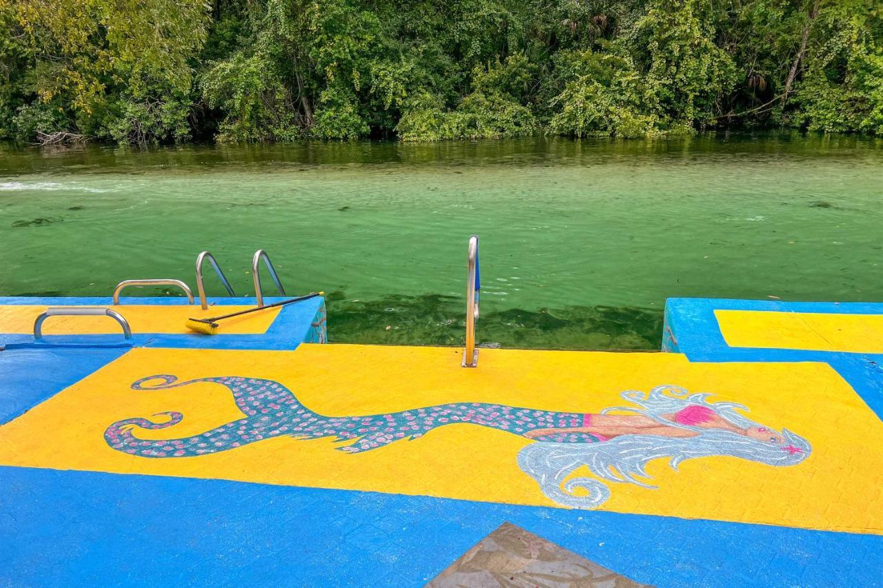 Pams Mermaid House With Riverfront Yard And Lanai! Lägenhet Weeki Wachee Exteriör bild